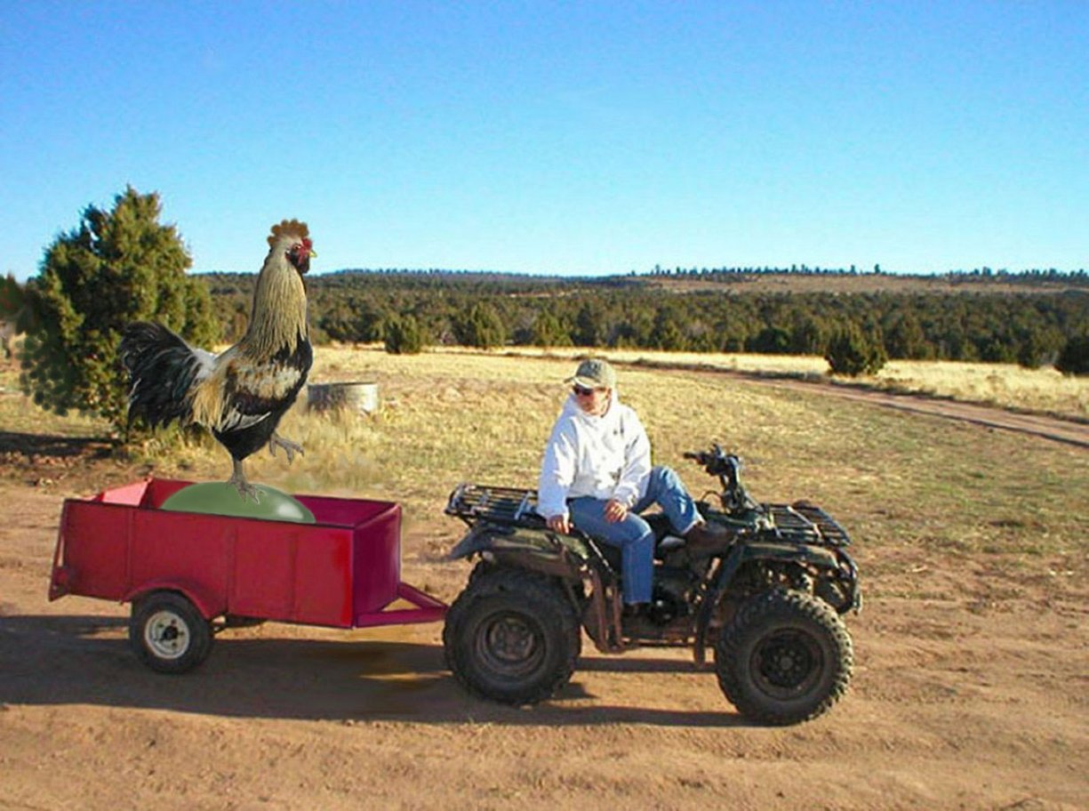 Photography by ShooterSue for DesignCrowd (Community Contests) | Design #9055001