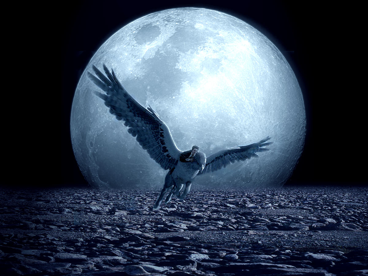 Diseño de Photoshop por RachwitchD3 para DesignCrowd (Community Contests) | Diseño #9052509