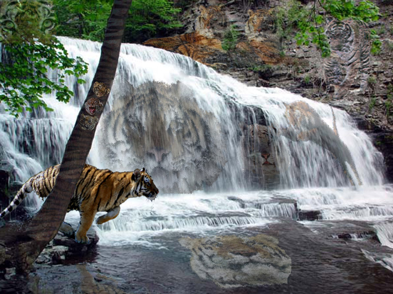 Photoshop Design by mudsplitter for DesignCrowd (Community Contests) | Design #9052519