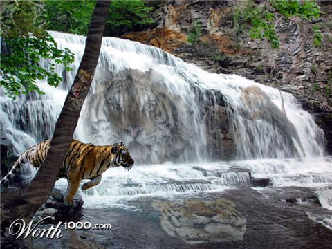 Photoshop Design by mudsplitter