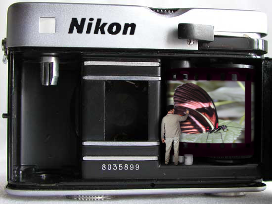 Photoshop Design by Israfelx for DesignCrowd (Community Contests) | Design #9053885