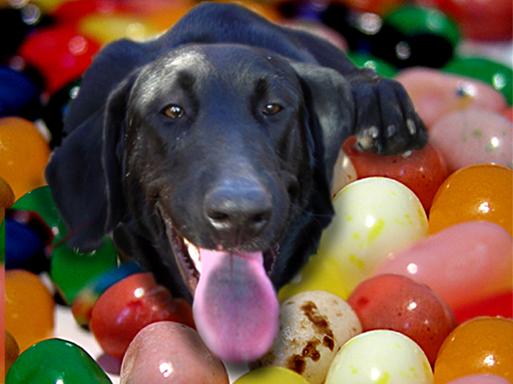 Design Photoshop par EyEars pour DesignCrowd (Community Contests) | Design #9053890