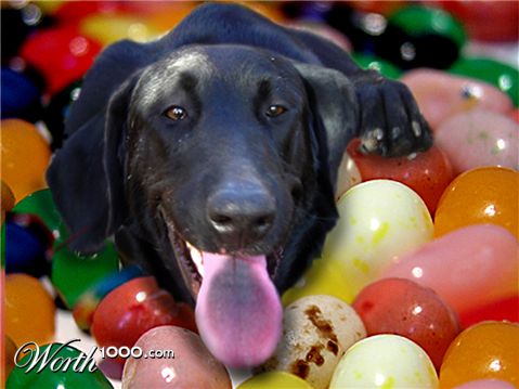 Photoshop Design by EyEars