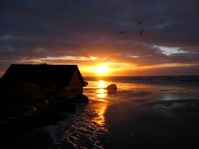 Photoshop Design by cherriesjubilee for DesignCrowd (Community Contests) | Design #9052458