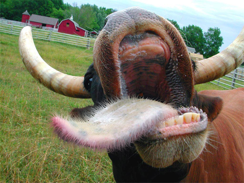 Photoshop Design by mattbyng for DesignCrowd (Community Contests) | Design #9054227