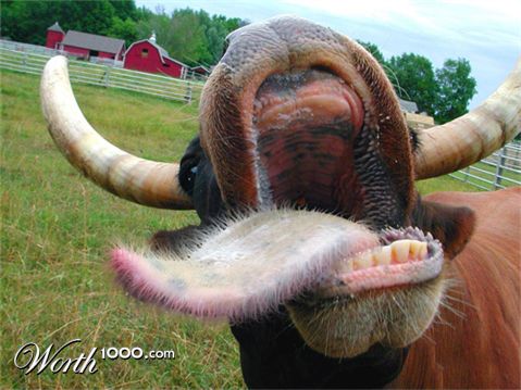 Photoshop Design by mattbyng