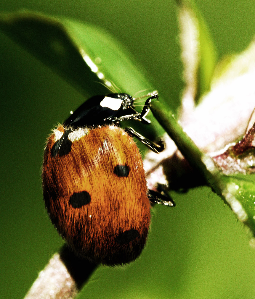 Photoshop Design by ayoksus for DesignCrowd (Community Contests) | Design #9054239