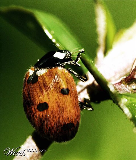 Photoshop Design by ayoksus