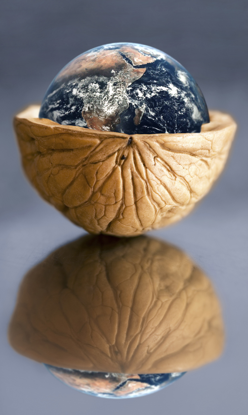 Photoshop Design by Nesten for DesignCrowd (Community Contests) | Design #9053933