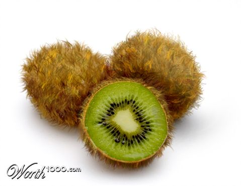 Photoshop Design by trailblazer