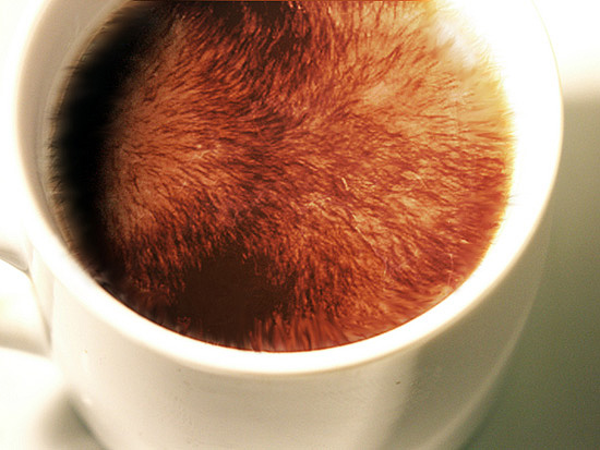 Photoshop Design by Dylkan for DesignCrowd (Community Contests) | Design #9054264