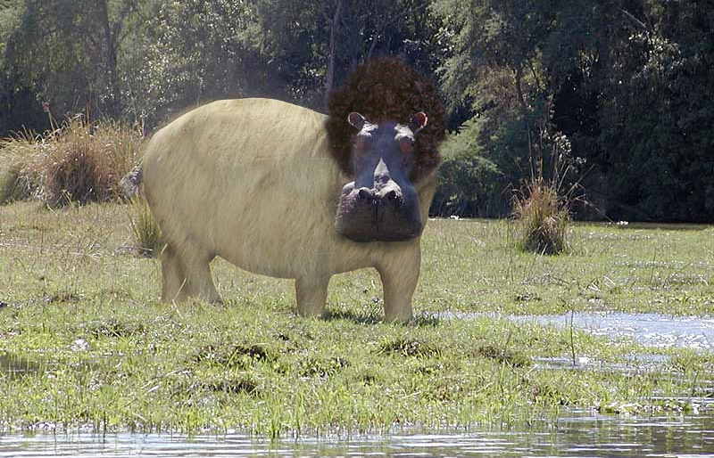 Diseño de Photoshop por hotmag para DesignCrowd (Community Contests) | Diseño #9054272