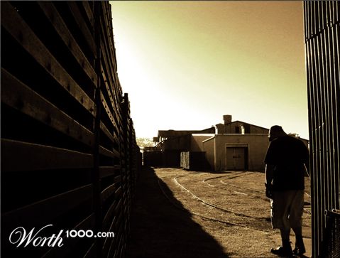 Photography by Budmulla