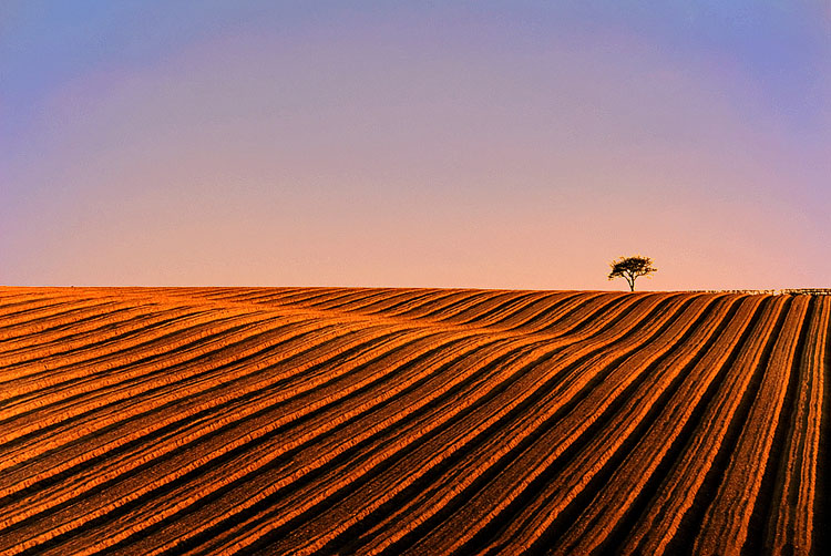 Photography by josephzl for DesignCrowd (Community Contests) | Design #9044735