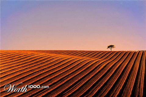 Photography by josephzl