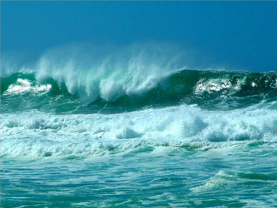 Photography by dasteveco for DesignCrowd (Community Contests) | Design #9045169