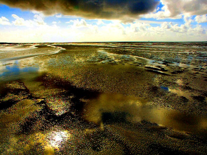 Photographie par wiggster pour DesignCrowd (Community Contests) | Design #9045135