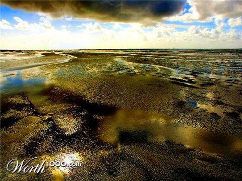 Photography by wiggster