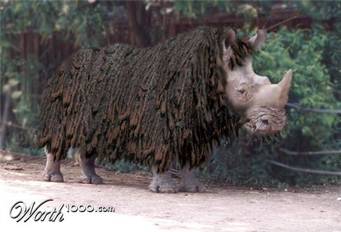 Photoshop Design by JClark8220