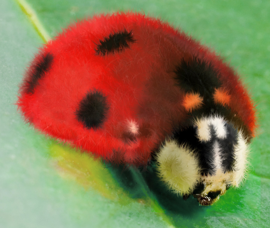 Photoshop Design by hypnotode for DesignCrowd (Community Contests) | Design #9054323