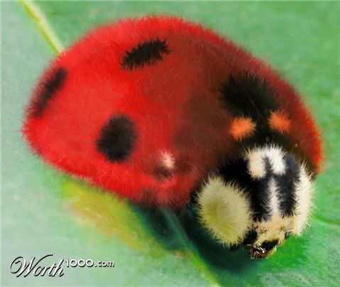 Photoshop Design by hypnotode