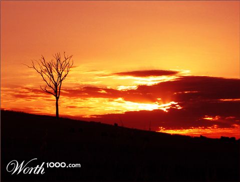 Photography by Budmulla