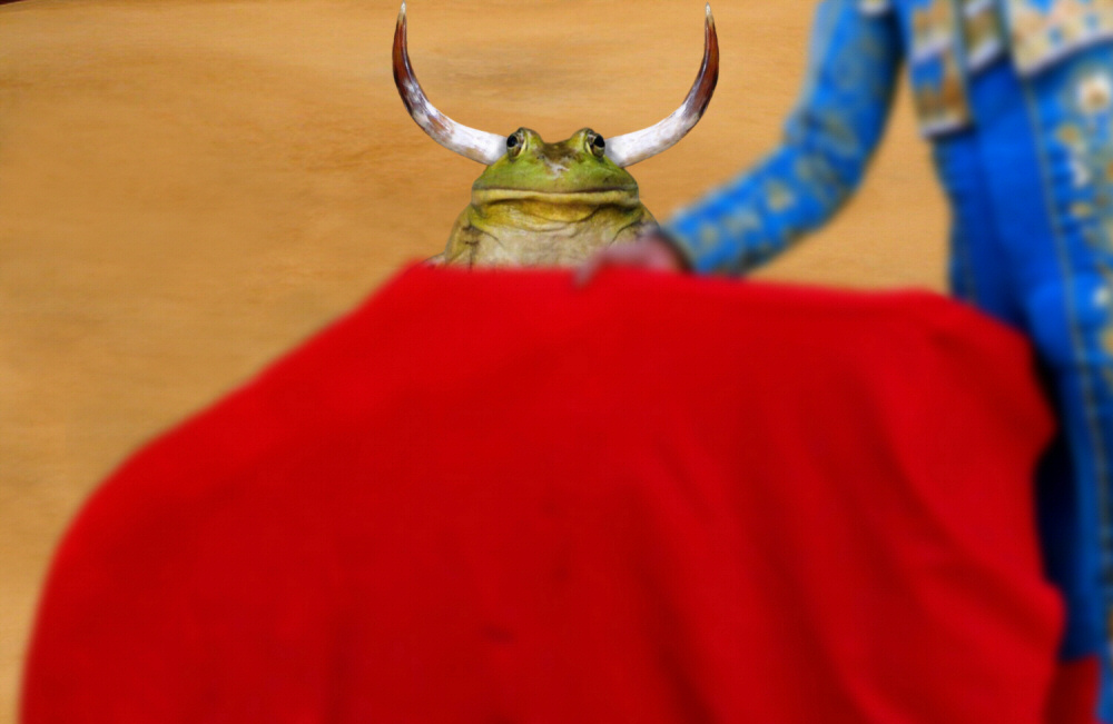 Photoshop Design by annihilist for DesignCrowd (Community Contests) | Design #9055602