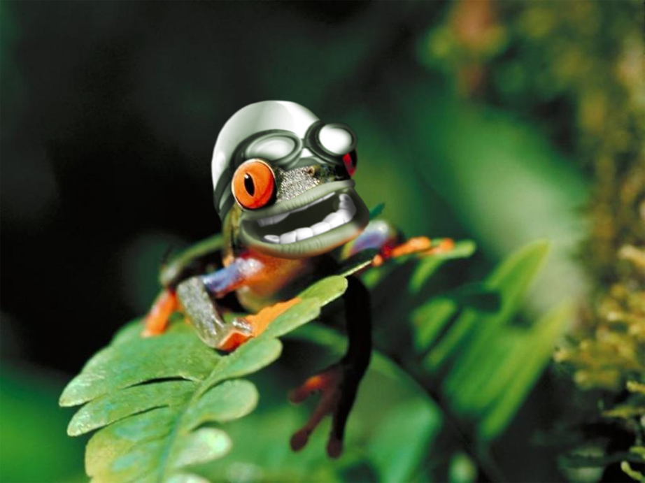 Photoshop Design by Ruberduck for DesignCrowd (Community Contests) | Design #9055607