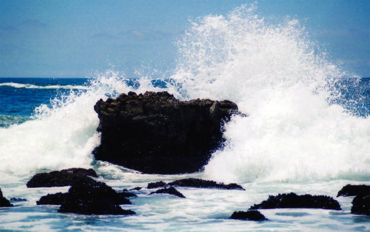 Photography by Jpalacio for DesignCrowd (Community Contests) | Design #9045250