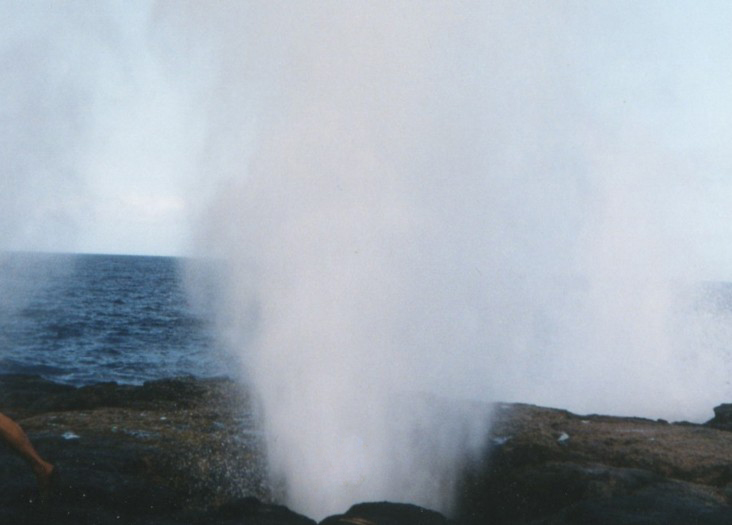 Fotografía por gymp93 para DesignCrowd (Community Contests) | Diseño #9045259