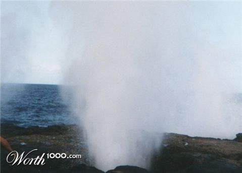 Photography by gymp93