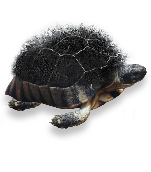 Photoshop Design by hemantsharma for DesignCrowd (Community Contests) | Design #9054388