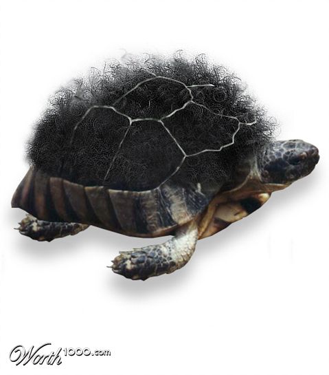 Photoshop Design by hemantsharma