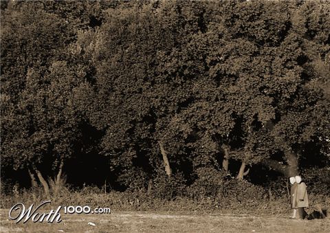 Photography by damas100