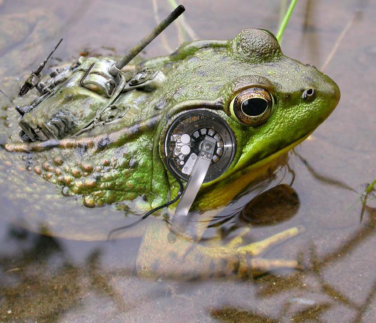 Photoshop Design by Focusedpain for DesignCrowd (Community Contests) | Design #9055627