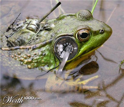 Photoshop Design by Focusedpain