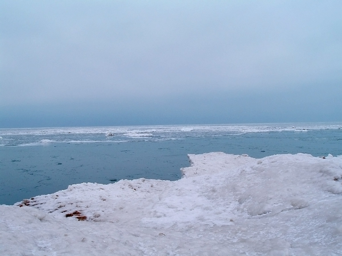 Photographie par watermarkhouse pour DesignCrowd (Community Contests) | Design #9045252