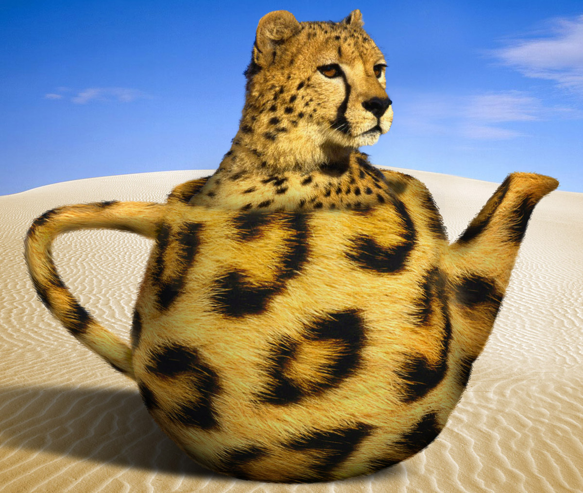 Diseño de Photoshop por Enryco para DesignCrowd (Community Contests) | Diseño #9054339