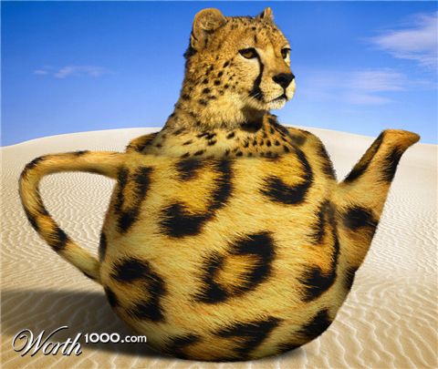 Photoshop Design by Enryco