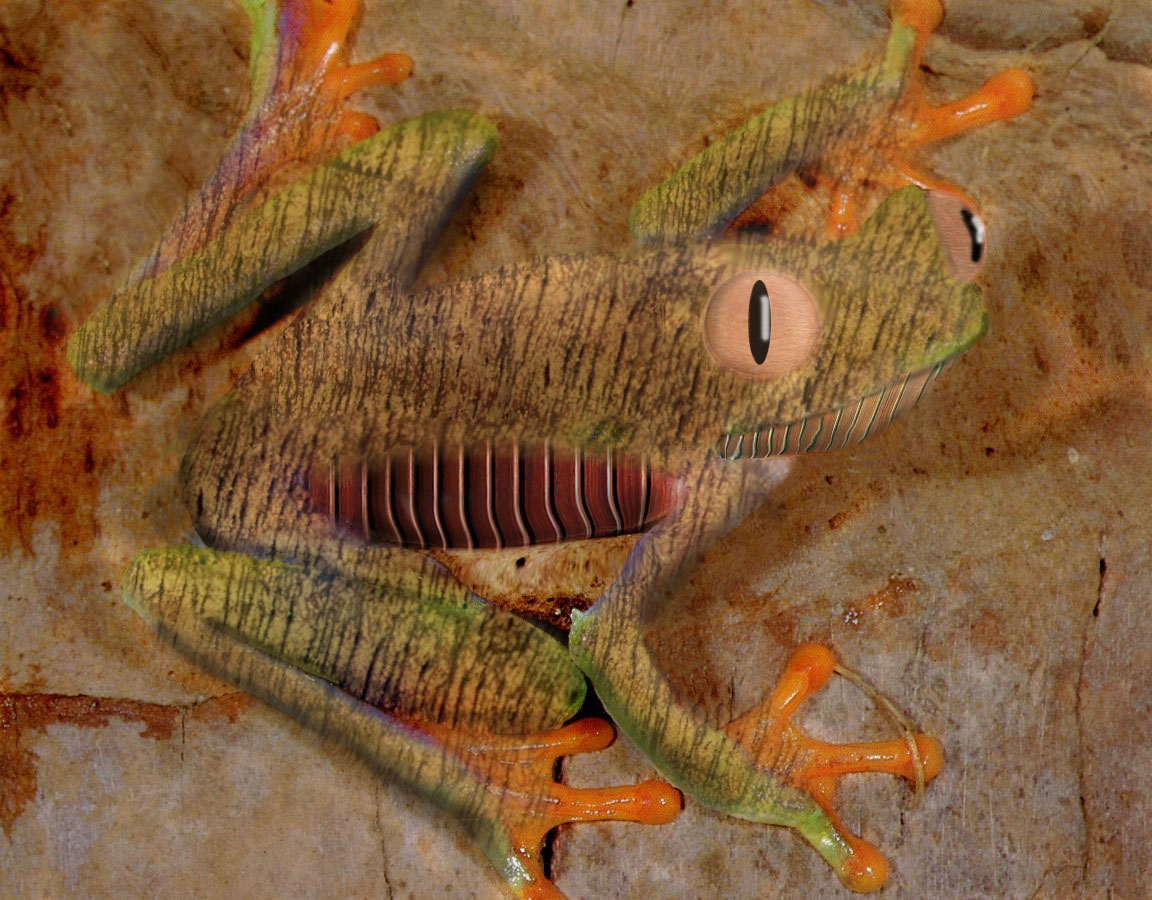 Diseño de Photoshop por h2oscienceguy081 para DesignCrowd (Community Contests) | Diseño #9055623