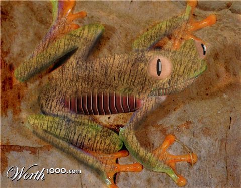 Photoshop Design by h2oscienceguy081