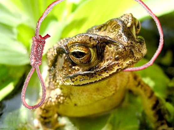 Diseño de Photoshop por humanoidaling para DesignCrowd (Community Contests) | Diseño #9055631