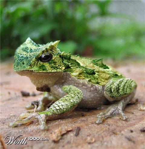 Photoshop Design by RachwitchD3