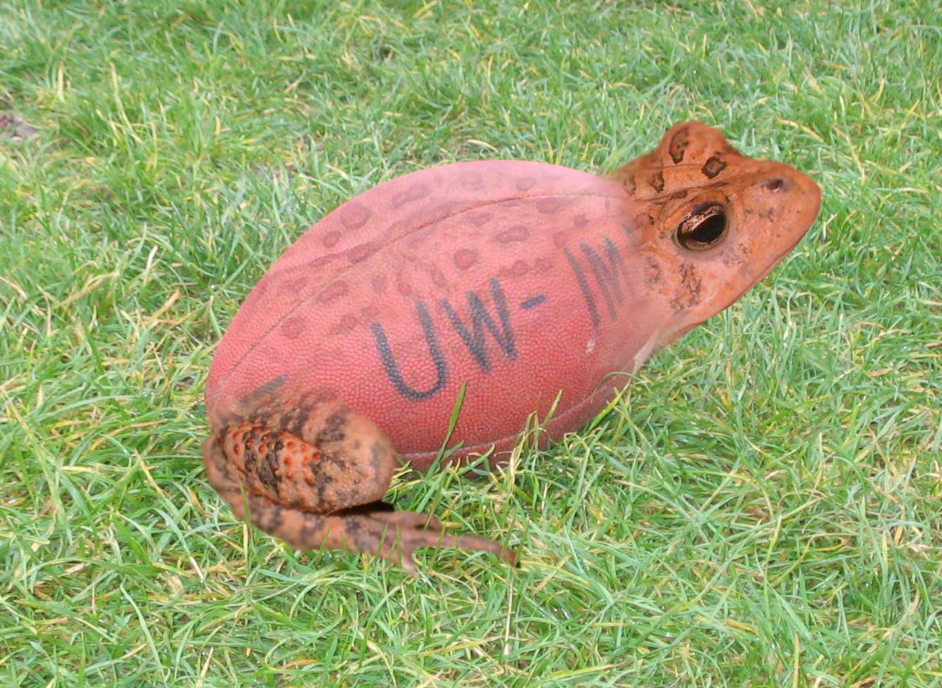 Photoshop Design by armartinell for DesignCrowd (Community Contests) | Design #9055671