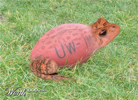 Photoshop Design by armartinell