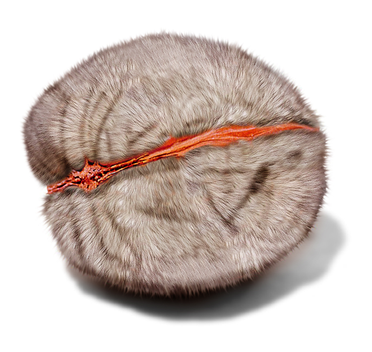 Diseño de Photoshop por jayjay007 para DesignCrowd (Community Contests) | Diseño #9054456