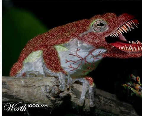 Photoshop Design by YumikoUkira