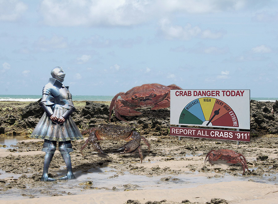 Photoshop-Design von Ruciaa für DesignCrowd (Community Contests) | Design #9061783