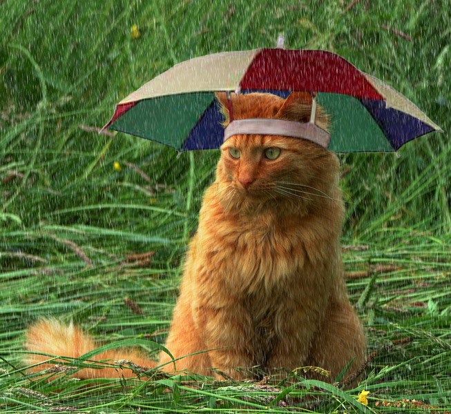 Photoshop Design by SlugBait for DesignCrowd (Community Contests) | Design #9061787