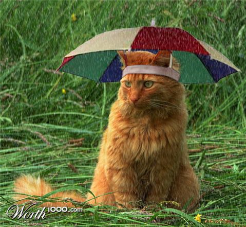 Photoshop Design by SlugBait